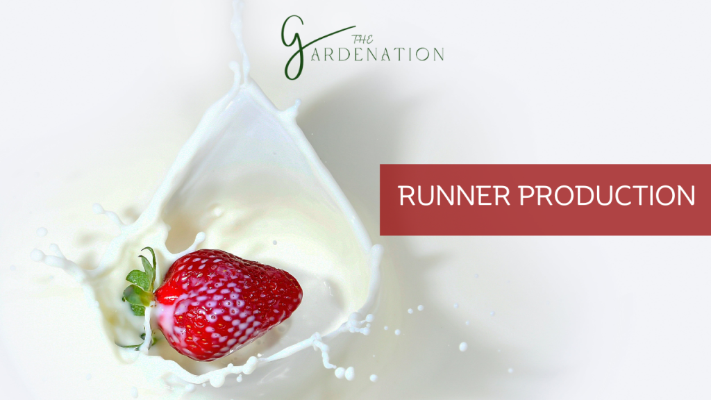 Runner Production by The Gardenation