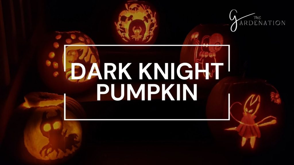 Dark Knight Pumpkin