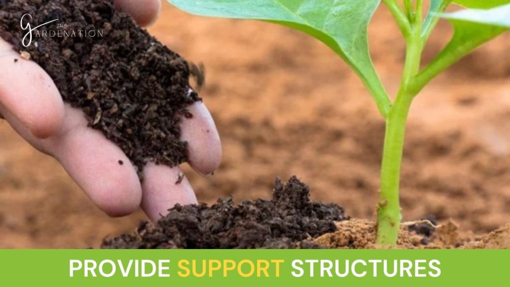 Provide support structures