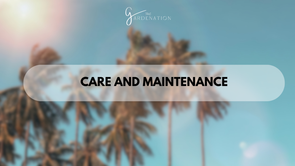 Care and Maintenance  
