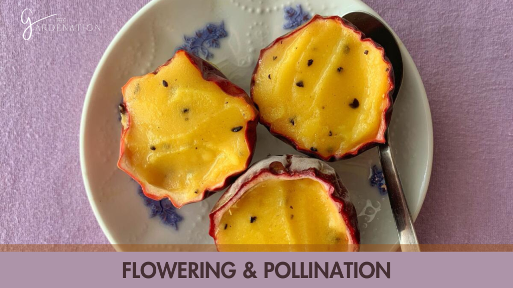 4. Flowering & Pollination