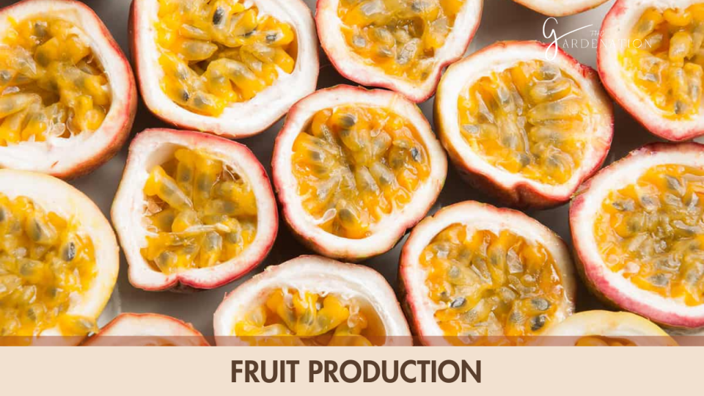 5. Fruit Production  