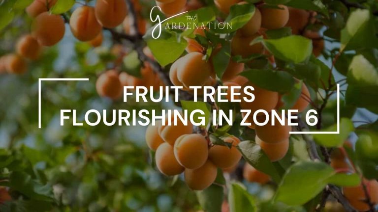 Fruit-Trees-Flourishing-in-Zone-6