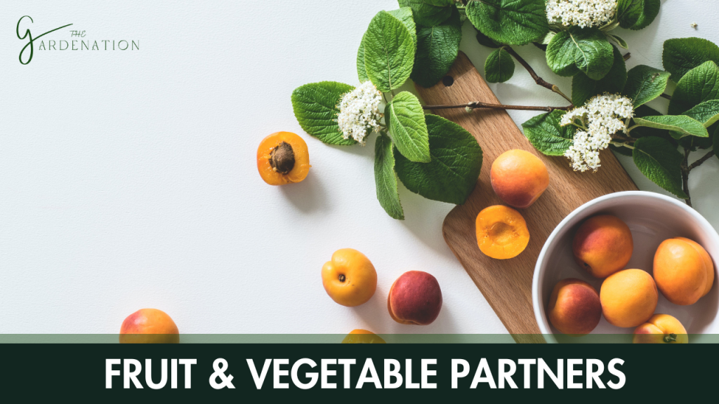 Fruit and Vegetable Partners