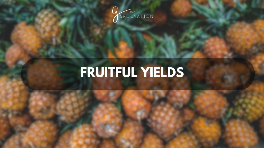 Fruitful Yields