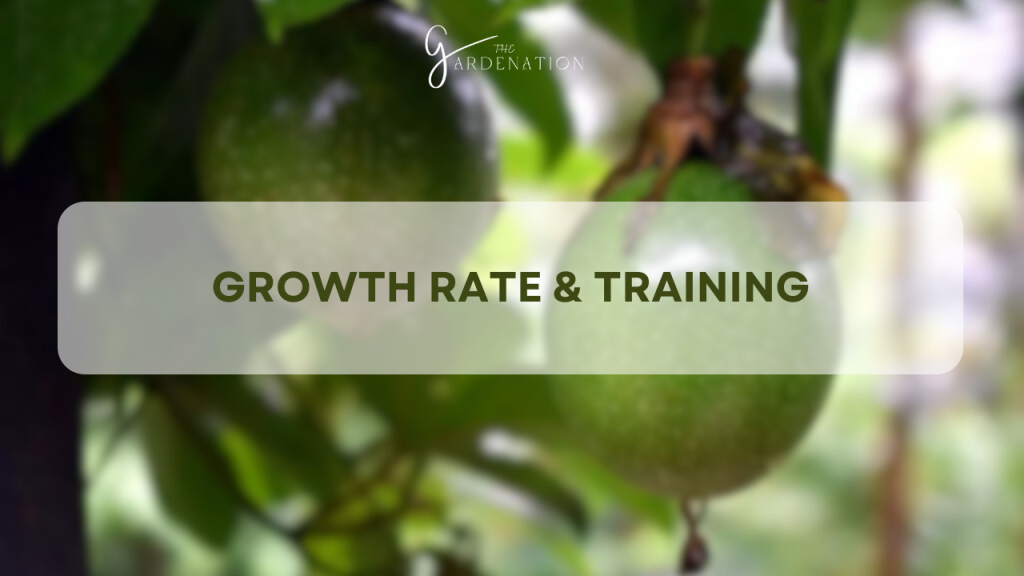 Growth Rate & Training