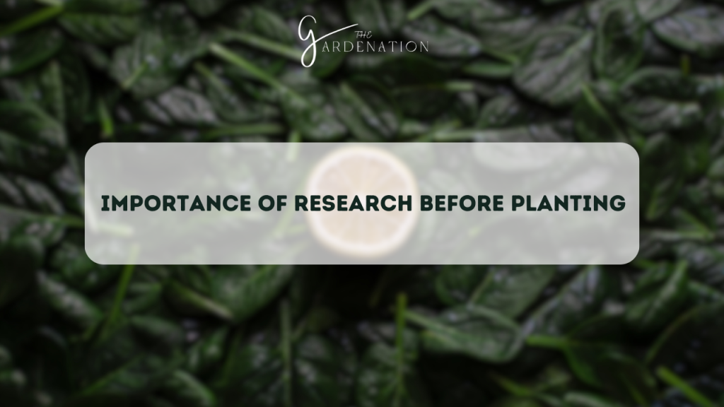 Importance of Research Before Planting