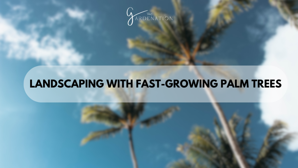 Landscaping with Fast-Growing Palm Trees 