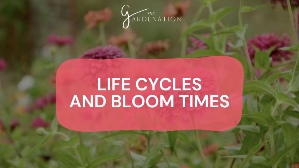  Life Cycles and Bloom Times