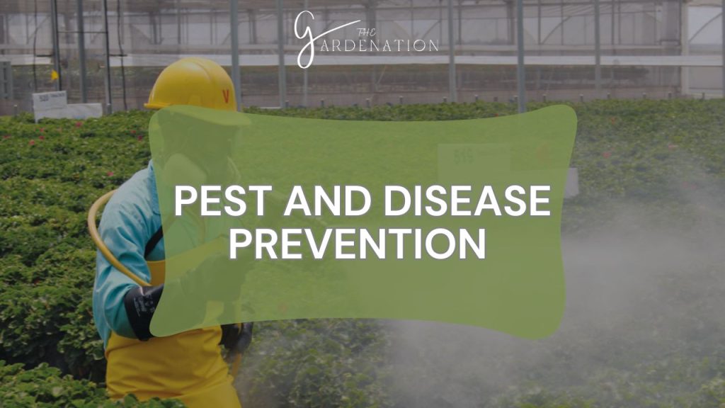 Pest and Disease Prevention   