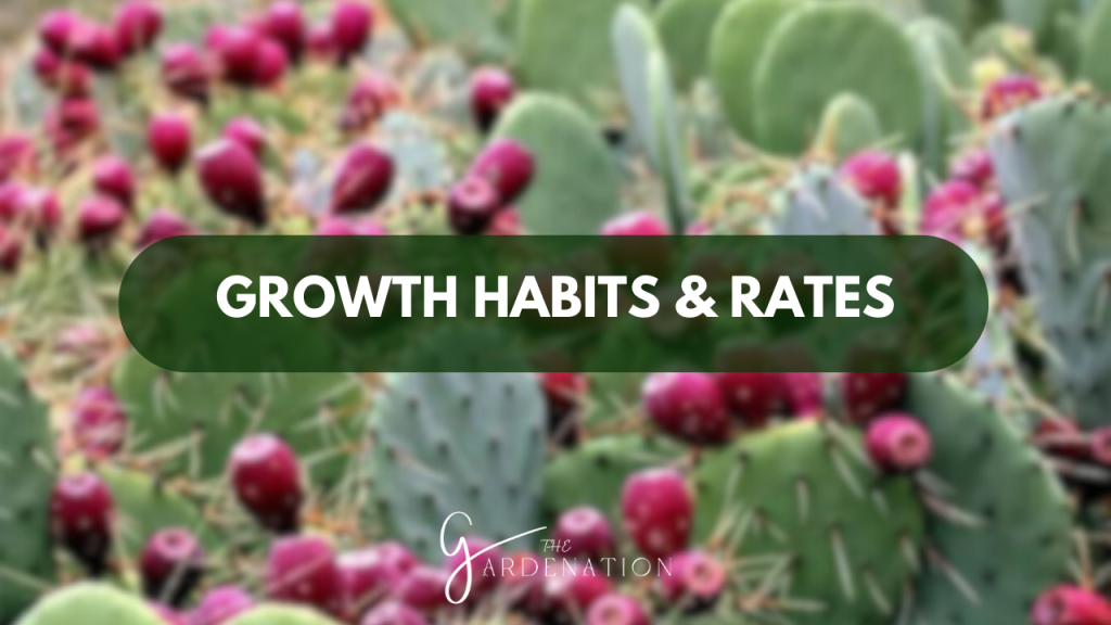 Growth Habits & Rates  
