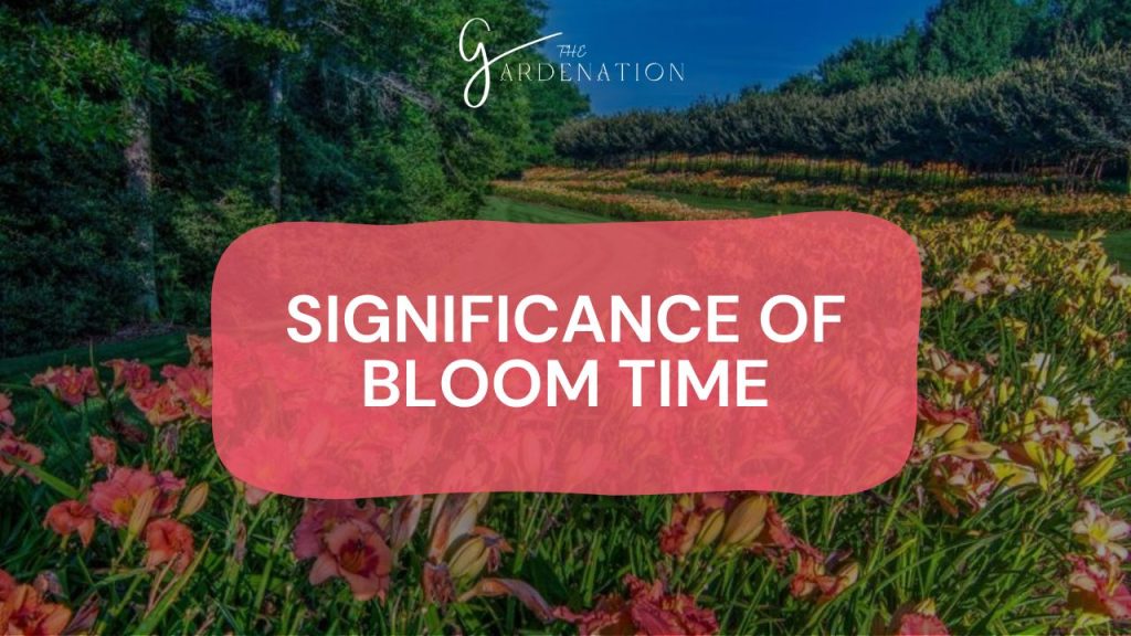 Significance of Bloom Time