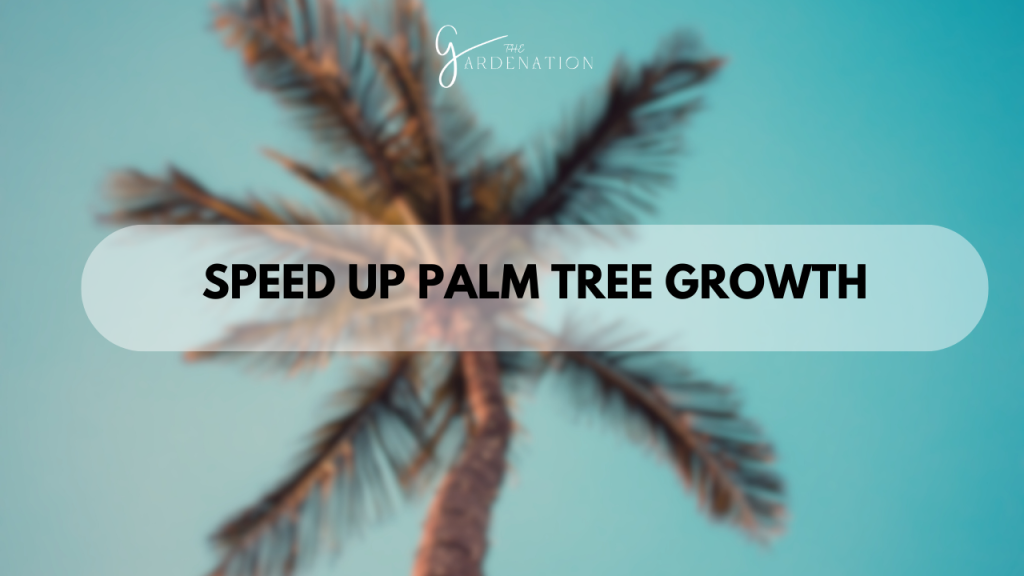 Speed Up Palm Tree Growth
