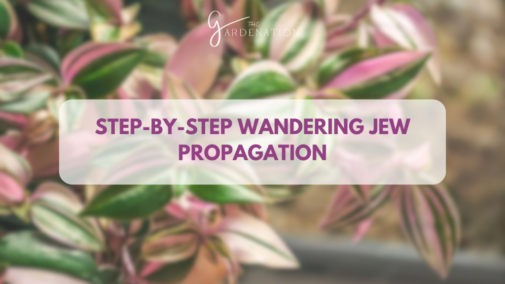 Step-By-Step Wandering Jew Propagation