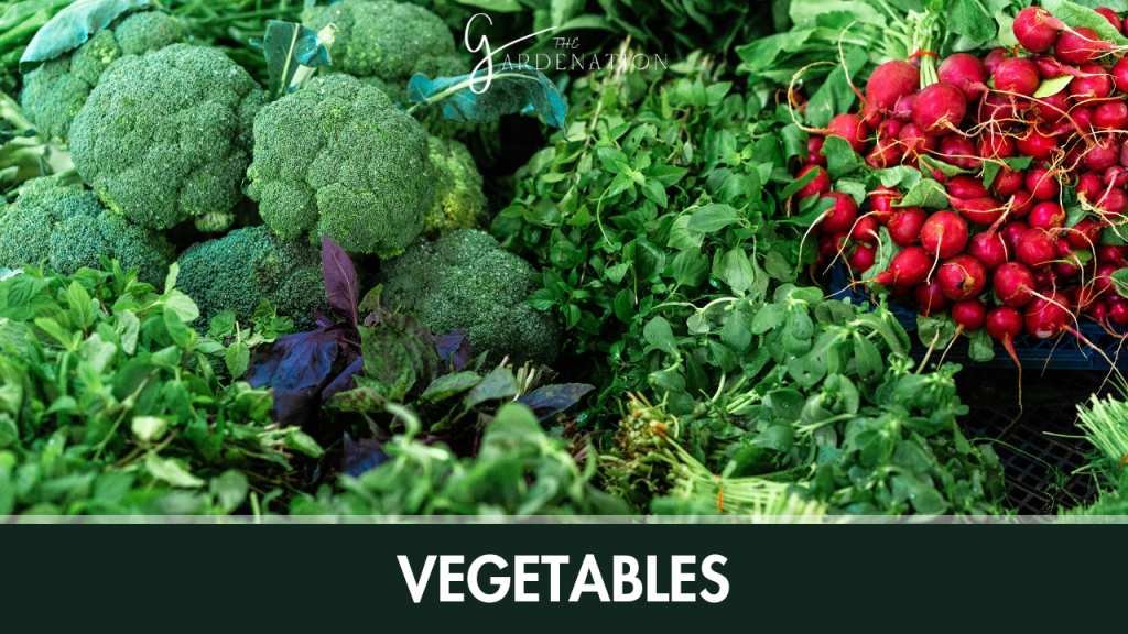Vegetables: 