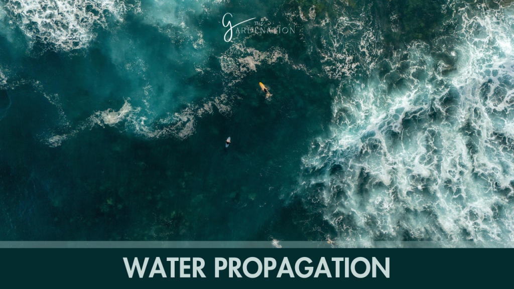 Water Propagation