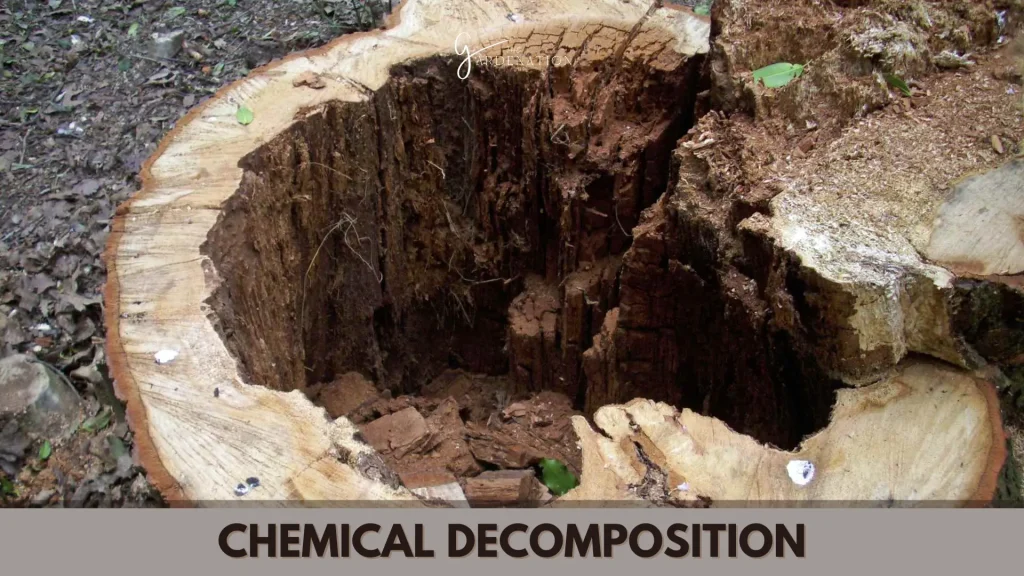 Chemical Decomposition by thegardenation