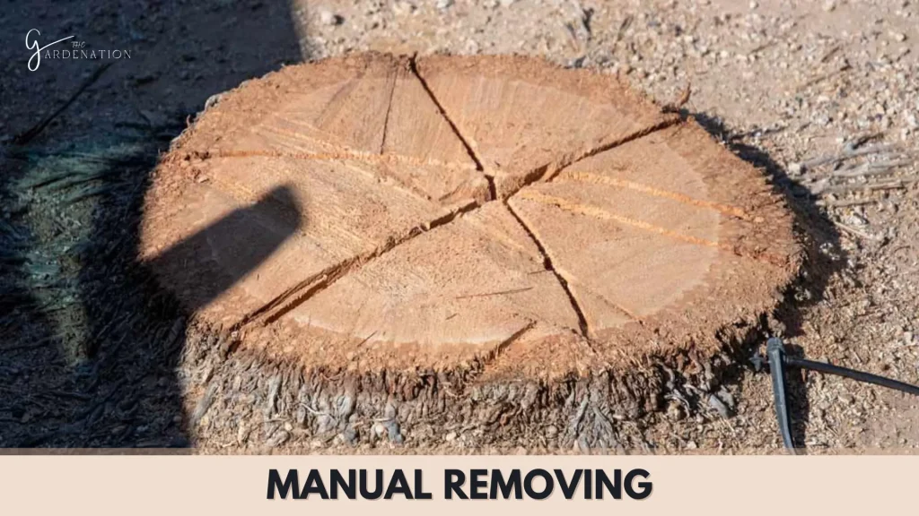 Manual Removing by thegardenation